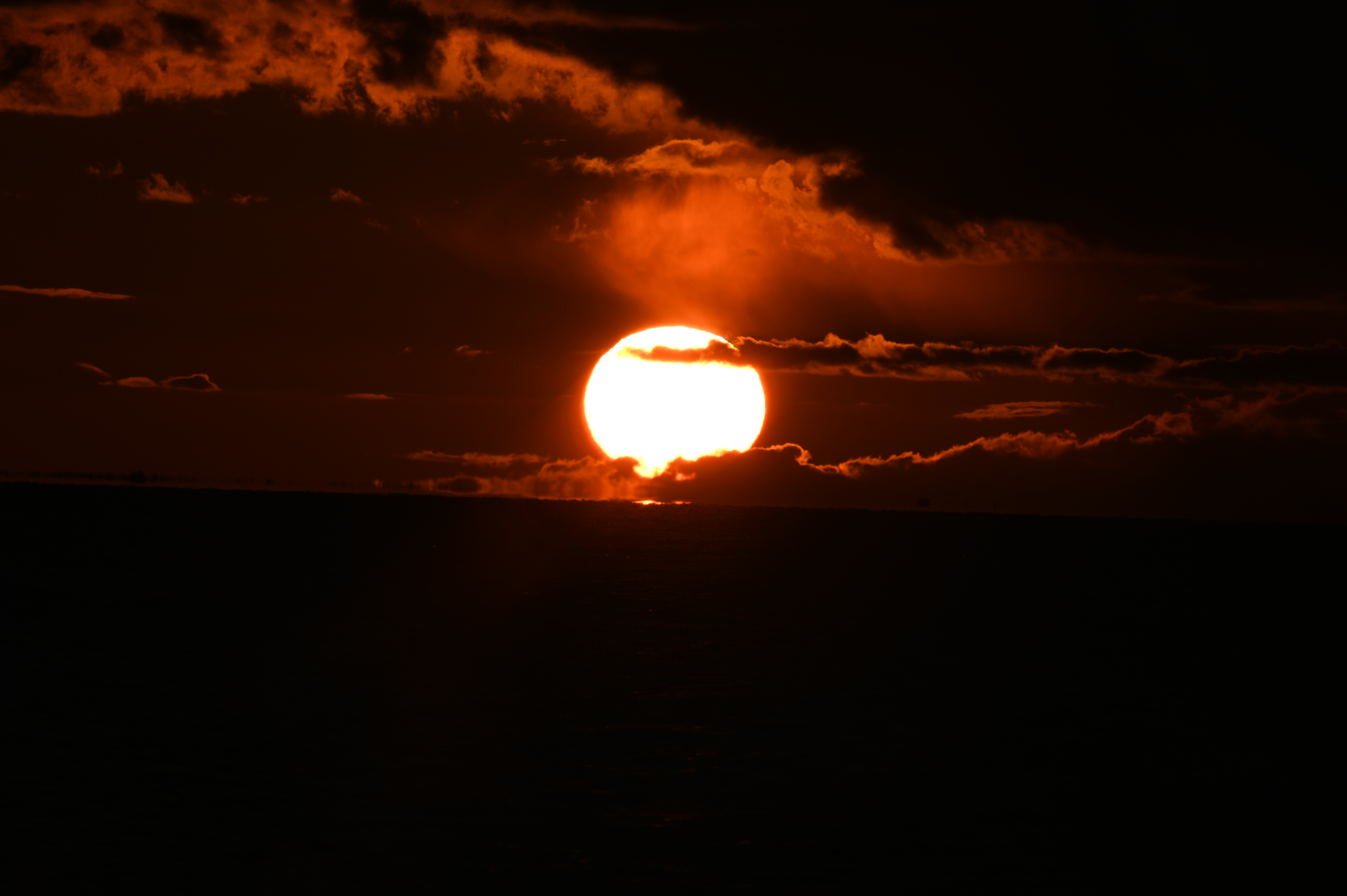 2025/10/18 - walk/DSC_0461.JPG